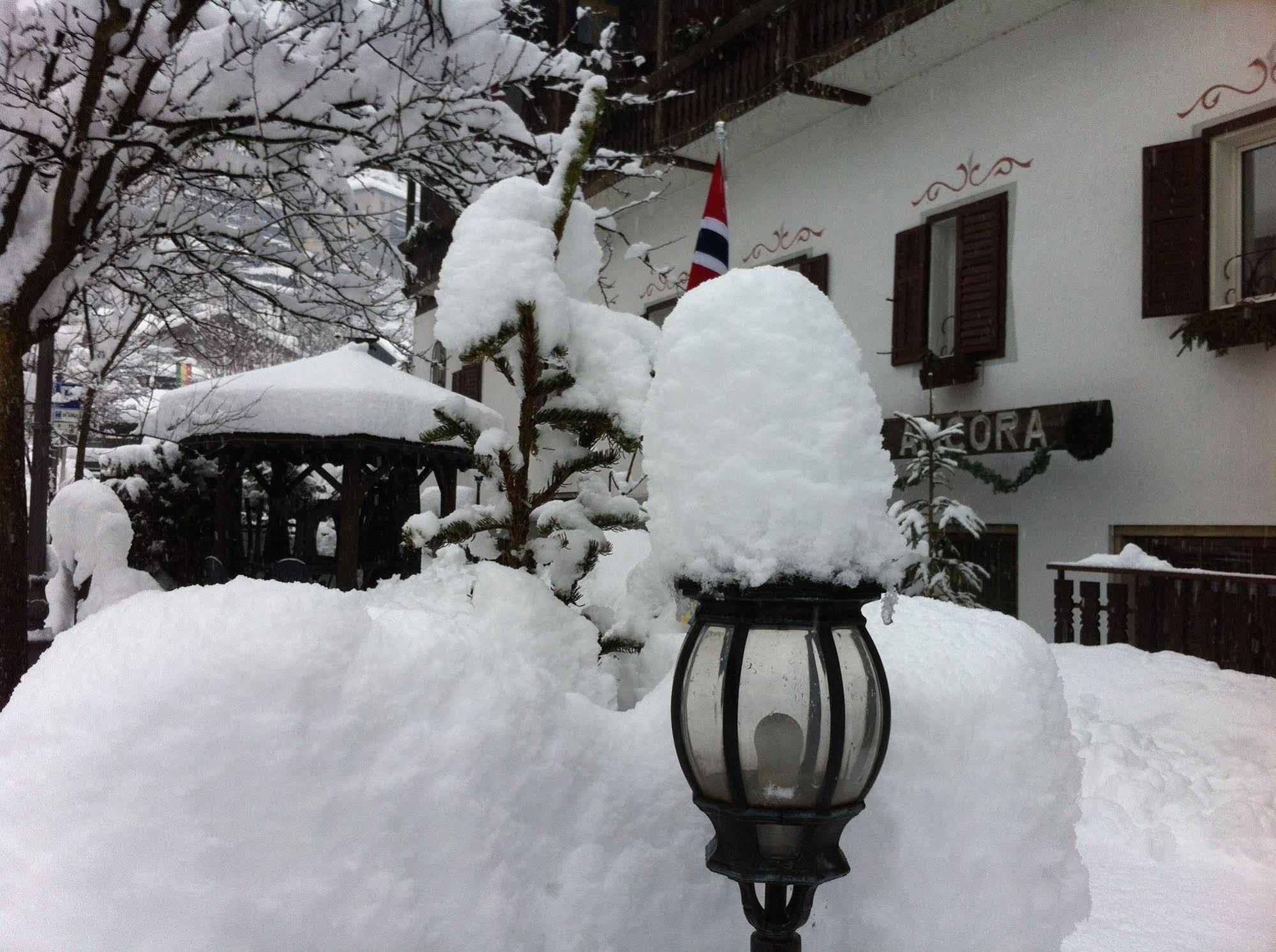 apart-hotel ANCORA Castello-Molina di Fiemme Buitenkant foto
